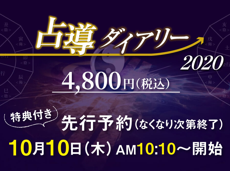 占導ダイアリー価格